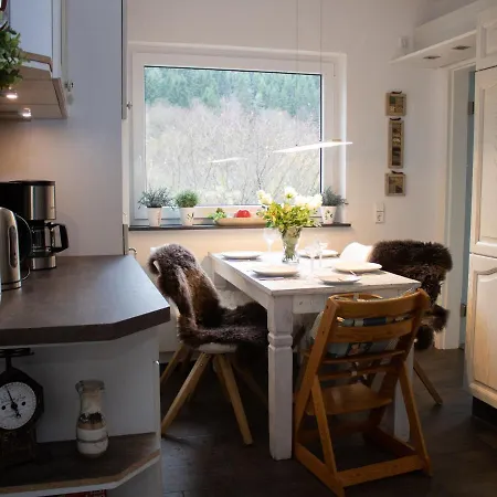 Large Holiday In Winterberg-silbach With Wood Stove, Garden And Terrace Holiday home *