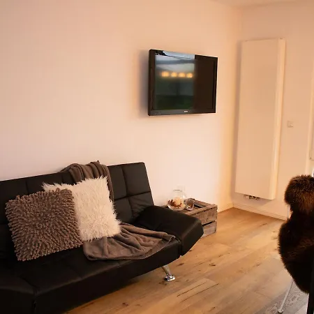 Large Holiday In Winterberg-silbach With Wood Stove, Garden And Terrace *