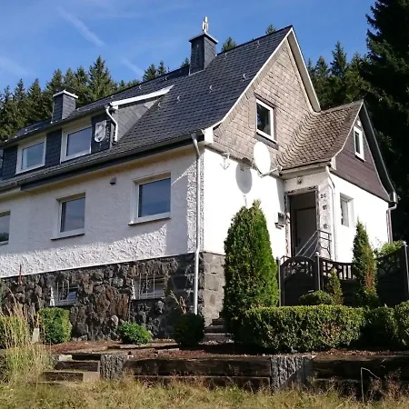 Holiday home Large Holiday In Winterberg-silbach With Wood Stove, Garden And Terrace