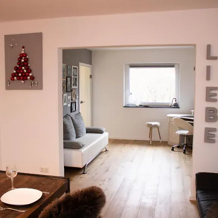 Large Holiday In Winterberg-silbach With Wood Stove, Garden And Terrace Holiday home Winterberg